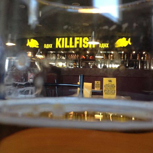 Алкогольная франшиза Killfish Discount Bar