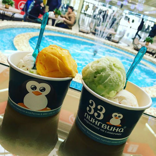 Франшиза мороженого «33 пингвина»